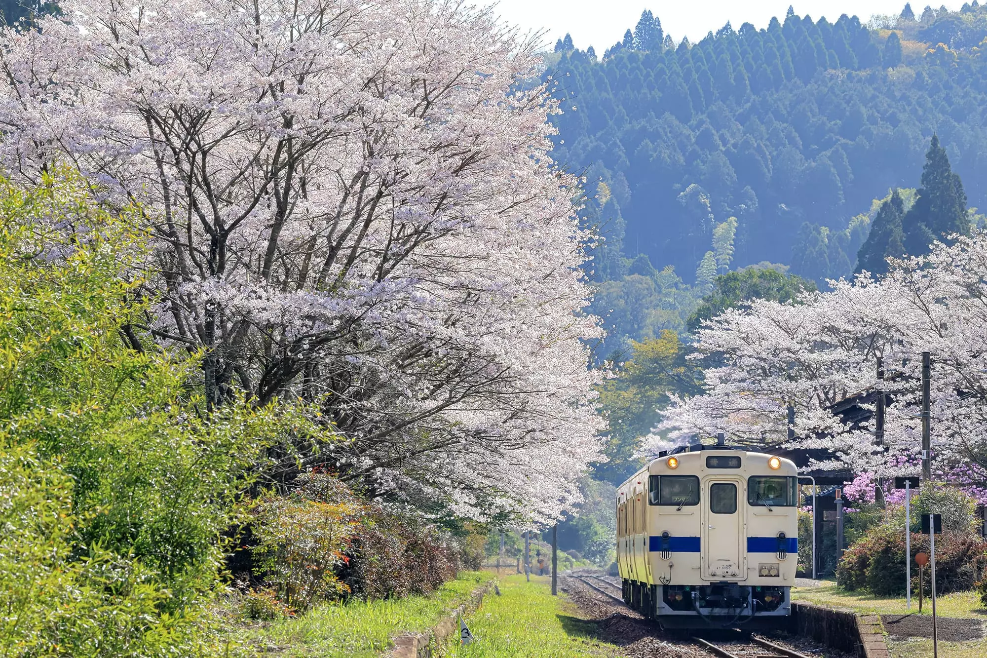 日本鉄道写真作家協会